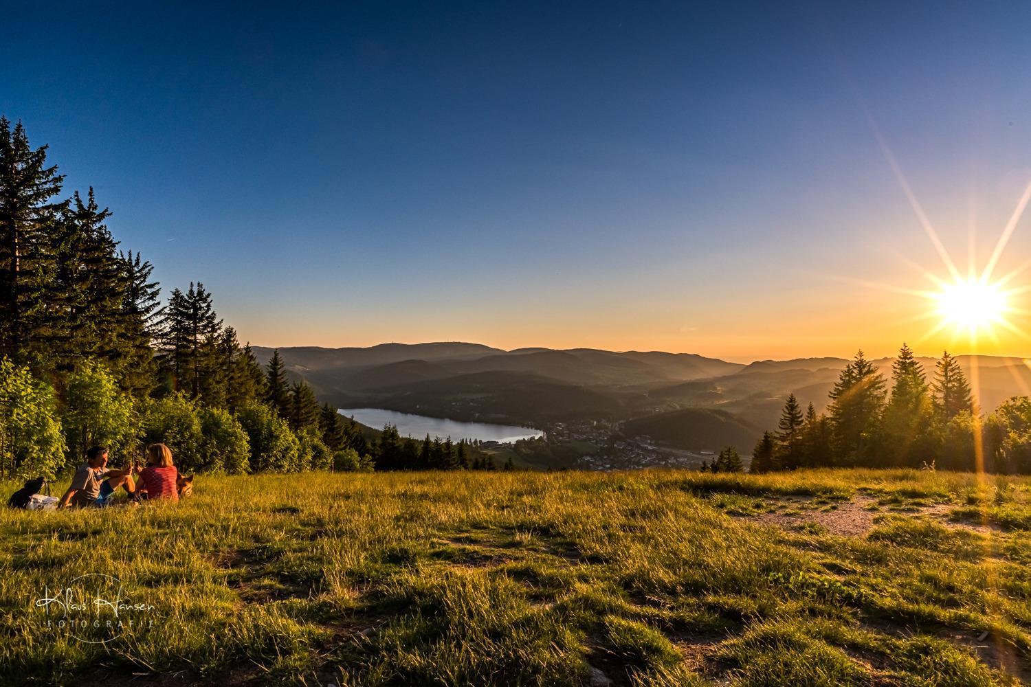 Apartment 13 - Ferienresidenz Roseneck, Mit Schwimmbad In Todtnauberg Bei Feldberg エクステリア 写真