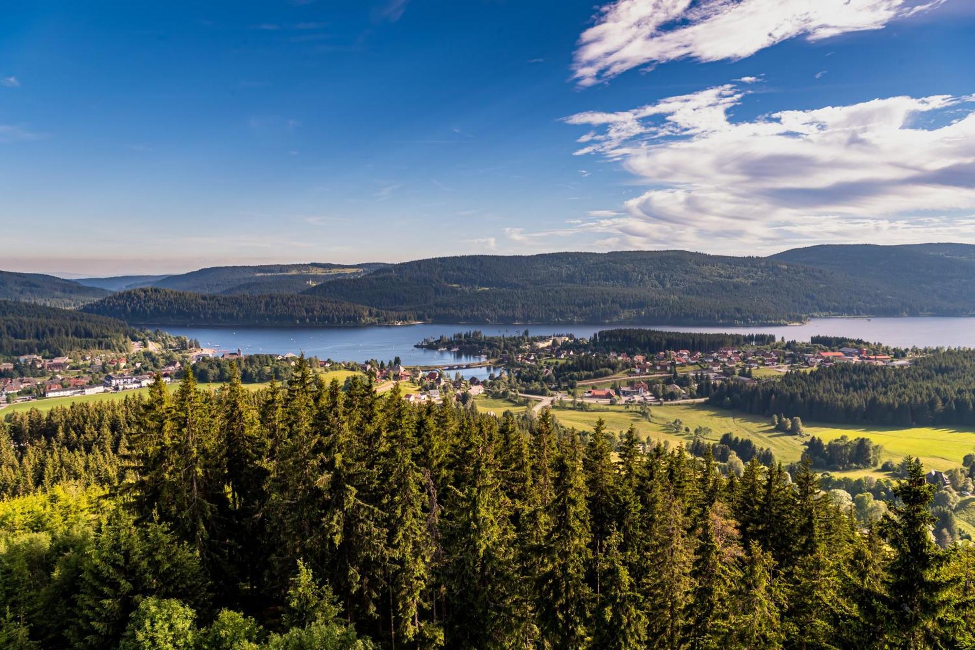 Apartment 13 - Ferienresidenz Roseneck, Mit Schwimmbad In Todtnauberg Bei Feldberg エクステリア 写真