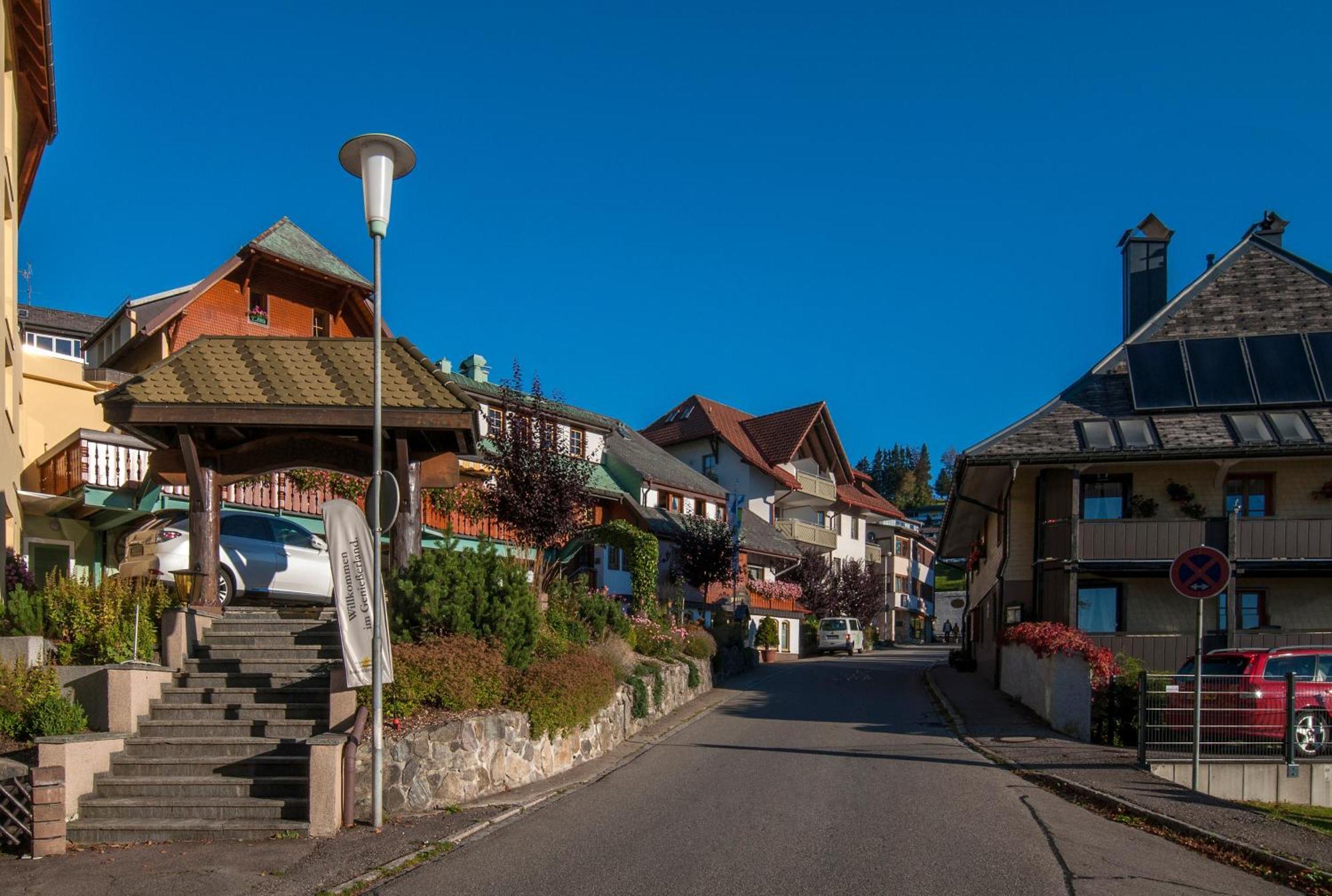 Apartment 13 - Ferienresidenz Roseneck, Mit Schwimmbad In Todtnauberg Bei Feldberg エクステリア 写真